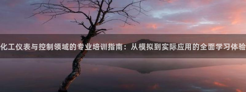 新宝gg主管 9