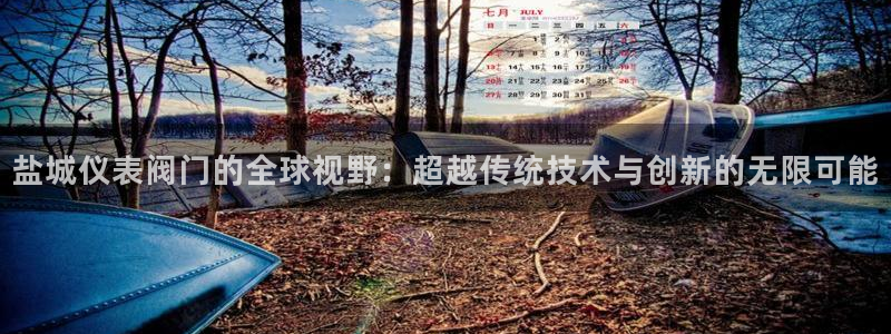 新宝gg会员