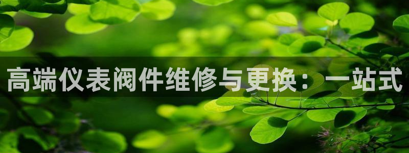 新宝gg主管花木兰