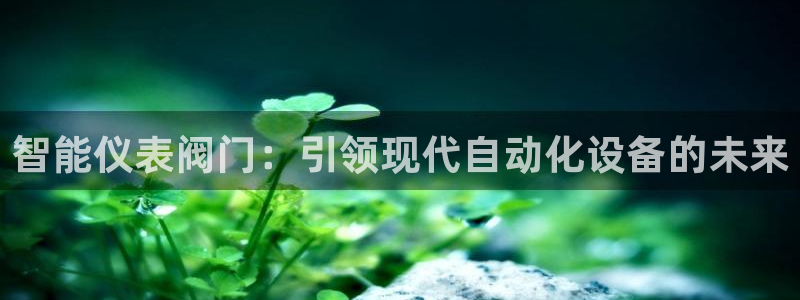 新宝 gg最新