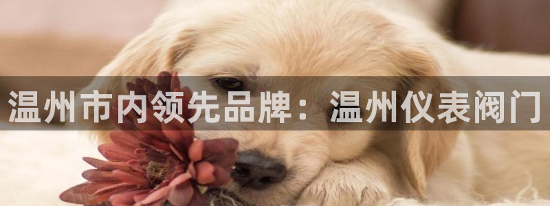 菲律宾新宝gg娱乐