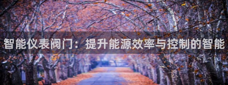 广东新宝电器gg
