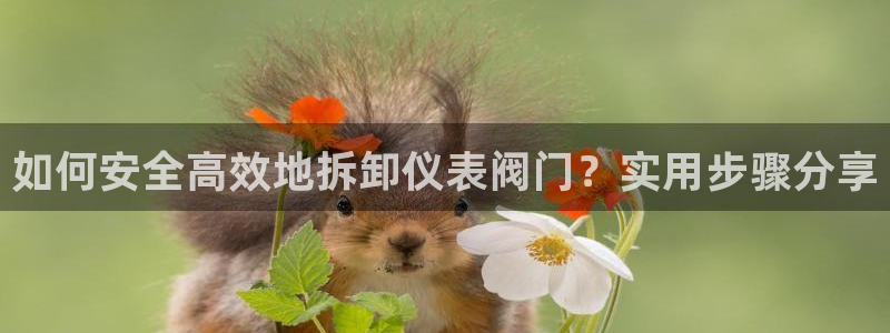 创造奇迹 新宝gg