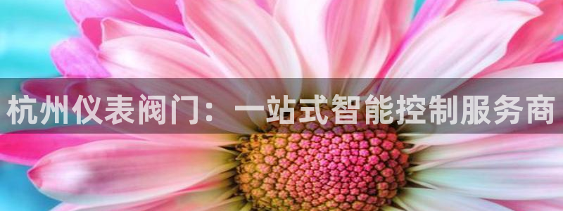 新宝gg 77848扣