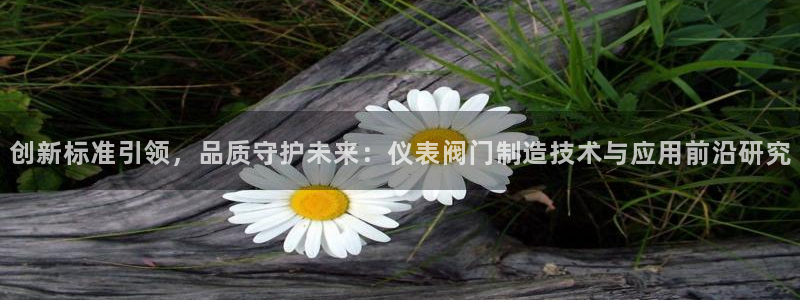 新宝gg网