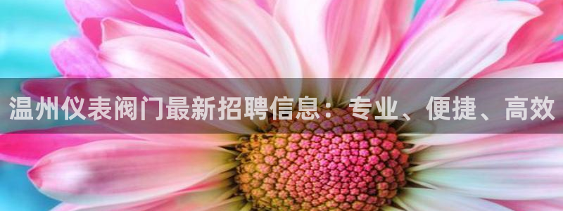 新宝平台gg