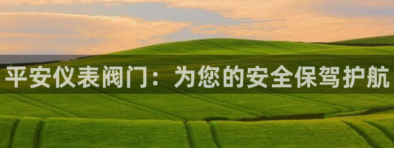 新宝gg招商致胜团队