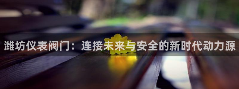 新宝GG傲78778
