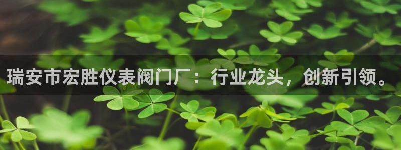 新宝gg娱乐