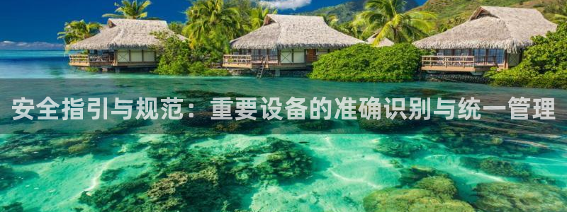 新宝gg登