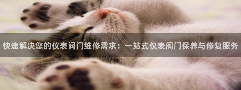 新宝gg用哪个浏览器