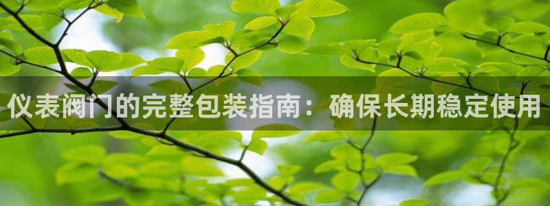 新宝gg如何做到总代理