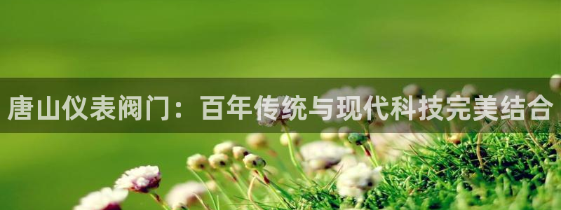 新宝gg线长