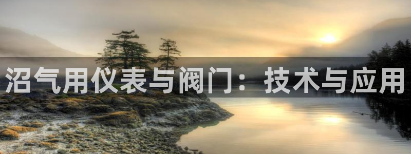 宝新gg