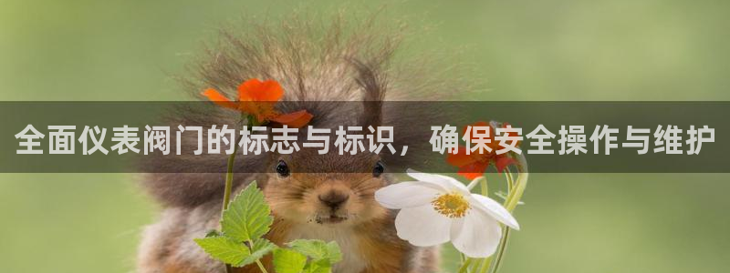 新宝gg下载