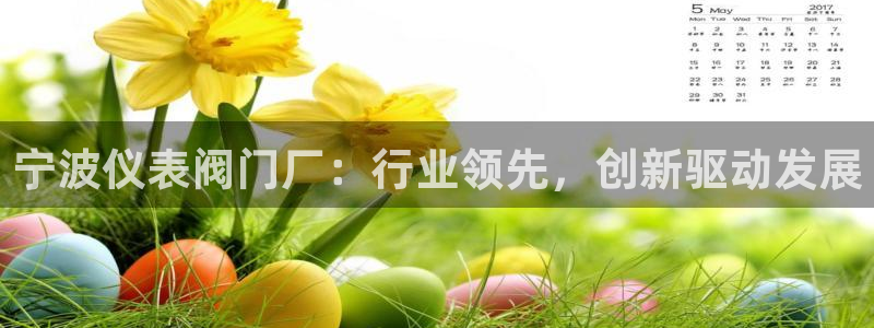 新宝gg挂机软件下载
