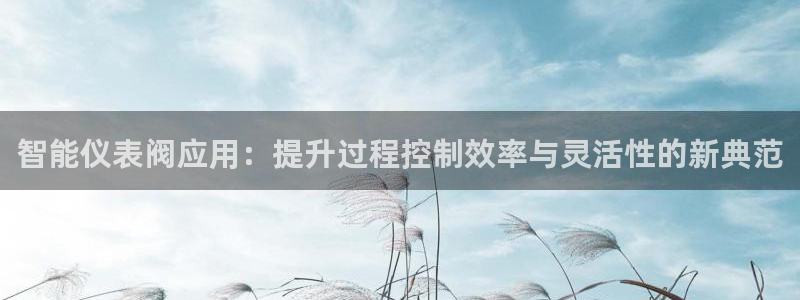 新宝gg招商致胜团队