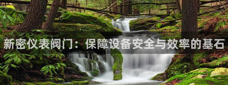 新宝gg专线