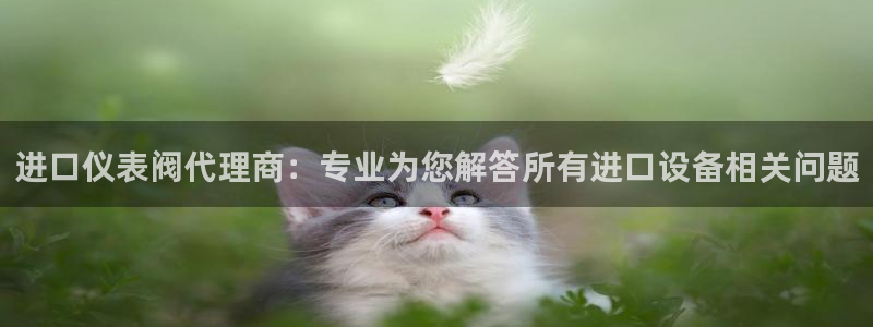 新宝gg什么