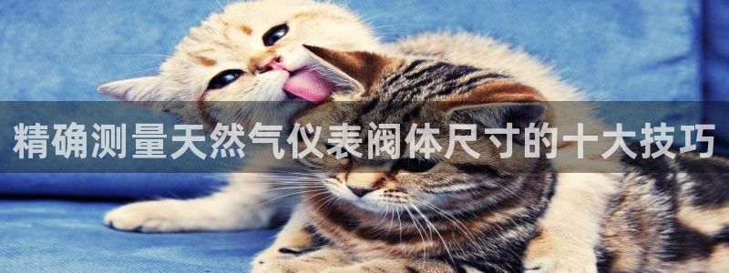 新宝gg怎么样