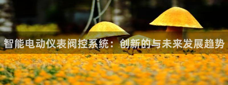 百度新宝gg
