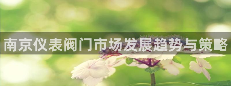 新宝gg入口网址