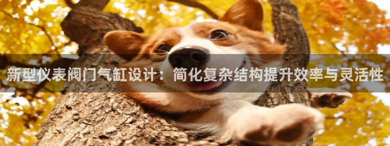 新宝GG股东