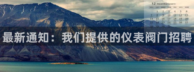 新宝gg介绍