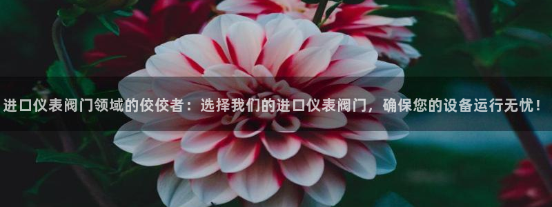 新宝gg 198