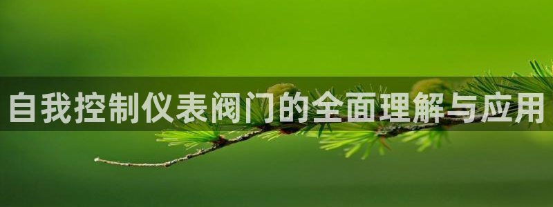 新宝gg娱乐盟主