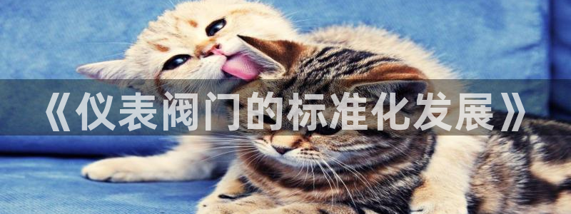 创造奇迹新宝gg