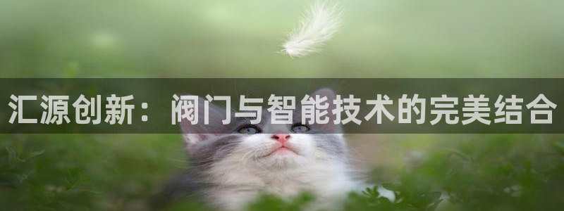 新宝gg娱乐主管q42873