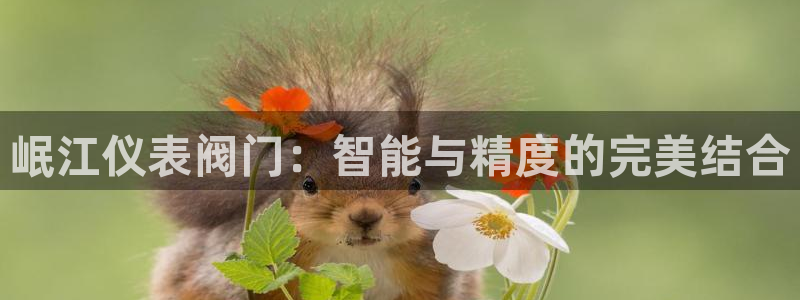 新宝gg 创造奇迹