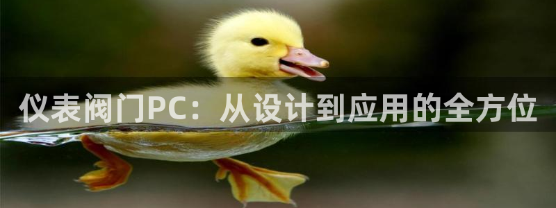 新宝gg如何赚钱