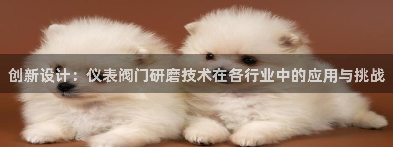 新宝gg入口网址