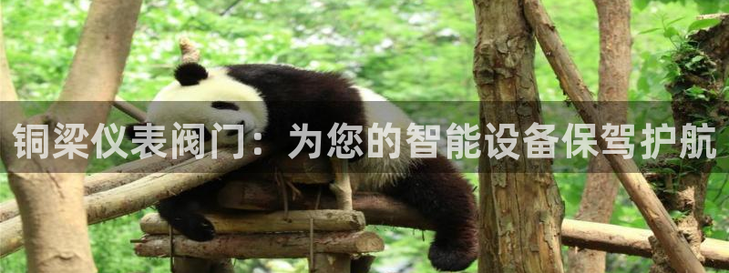 新宝gg开户流程