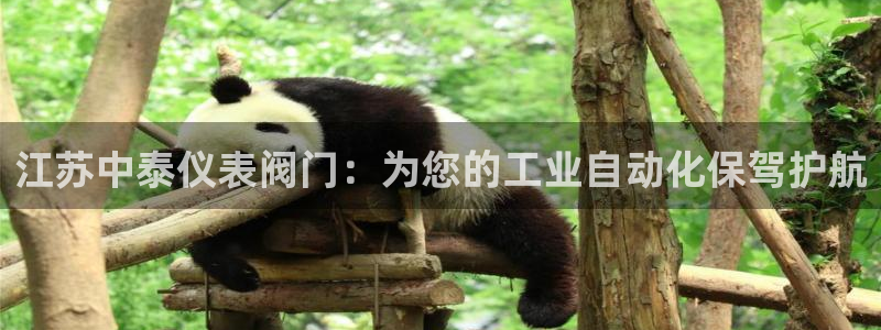 新宝GG无法充值