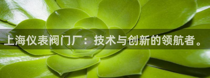 下载新宝gg怎么下载